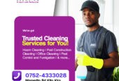 AYE Cleaning Services