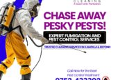 AYE Cleaning Services