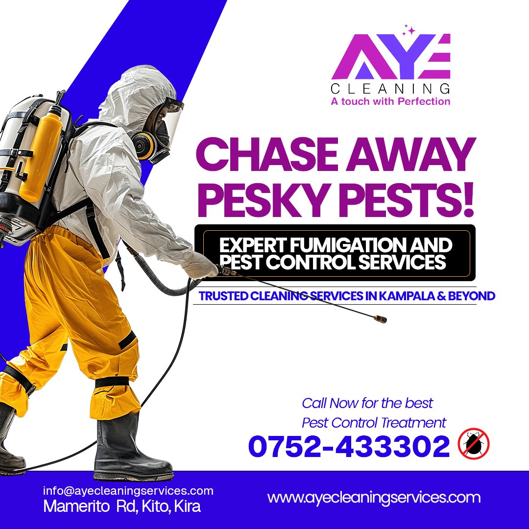 AYE Cleaning Services