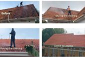 Edge Pulse cleaning & Fumigation Services