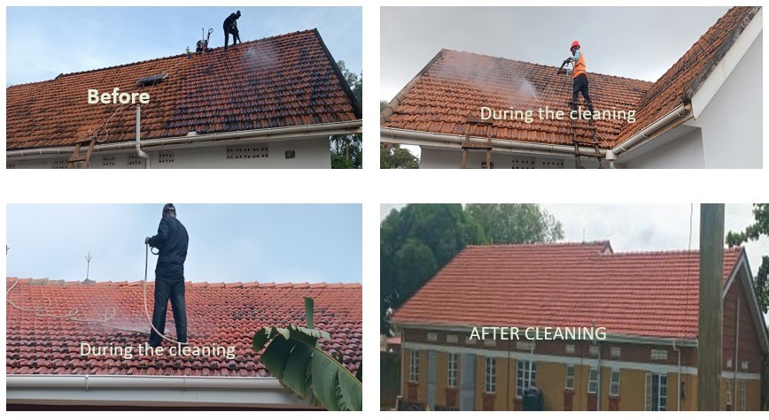 Edge Pulse cleaning & Fumigation Services