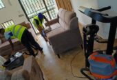 Edge Pulse cleaning & Fumigation Services