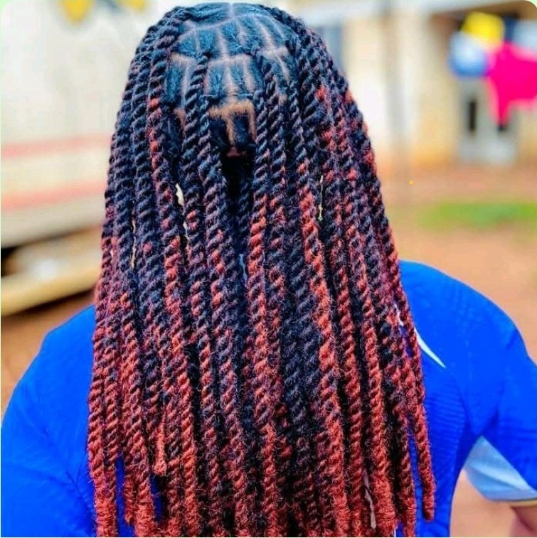 Pasha’s Mobile Braids
