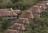 Tabebuia Spa Services